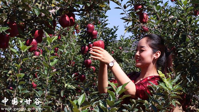 小康在家苹果版小苹果app电脑版