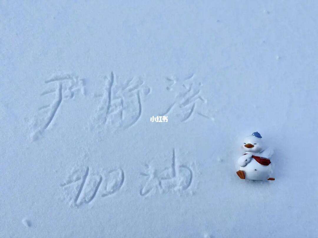 雪地写字器苹果版雪地写字器苹果下载-第2张图片-太平洋在线下载